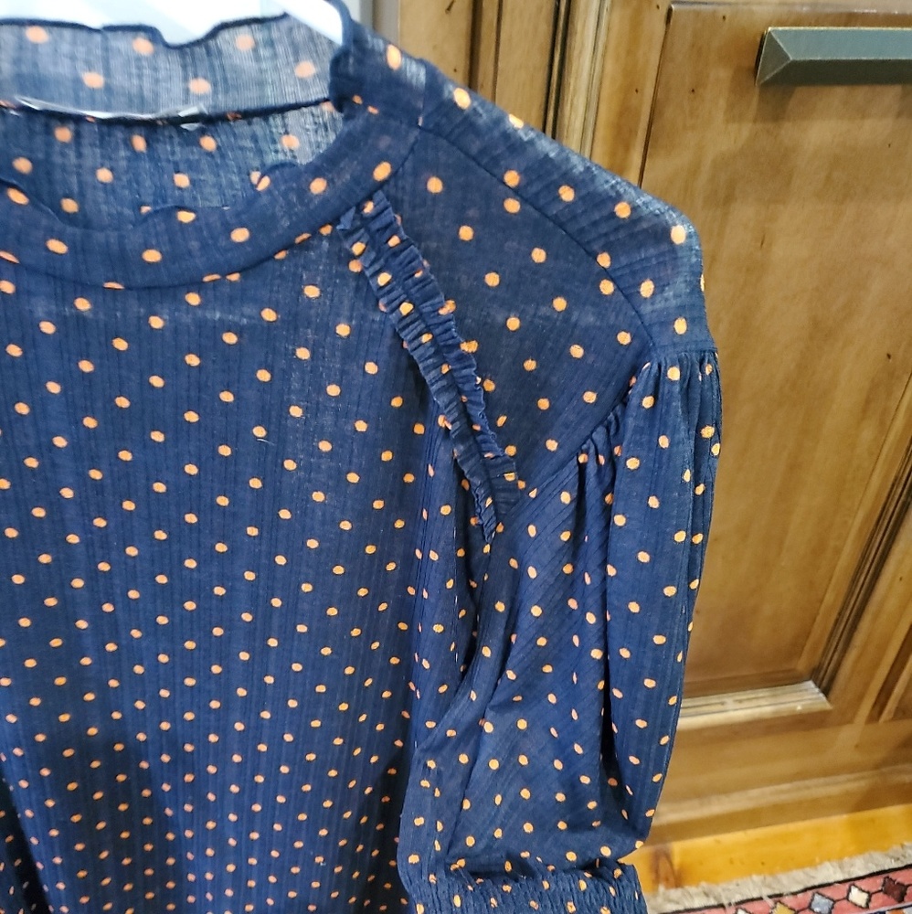 Zara Polka Dot Blouse